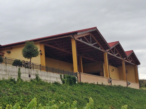 Visita_Luis_Cañas_Amaren_recepción_alta_gama